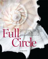 Full Circle - by Lorna Gentry | Professional Photographer Magazine